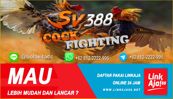 Situs Judi Sabung Ayam Online Sv388