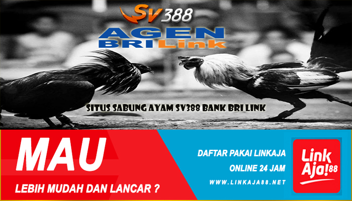 Situs Sabung Ayam Sv388 Bank BRI Link